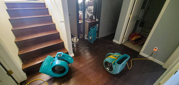 Best Water damage restoration process  in Troy, NY