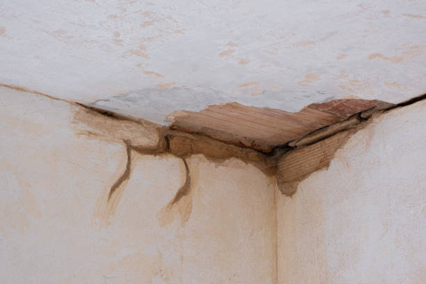 Best Flood damage cleanup  in Troy, NY