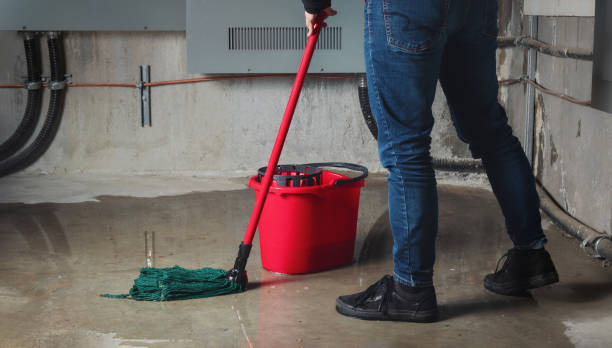 Best Basement water damage restoration  in Troy, NY