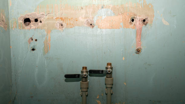 Best Sewage cleanup and water damage restoration  in Troy, NY