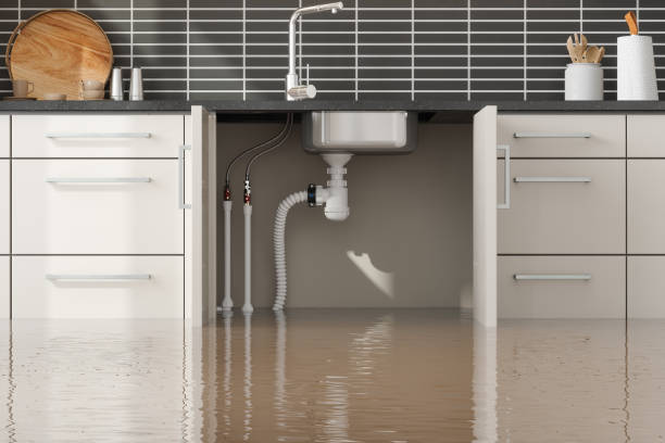 Best Water damage restoration near me  in Troy, NY