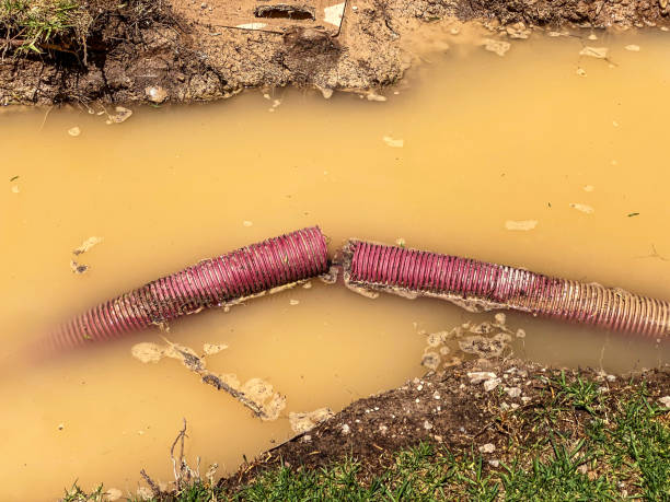 Best 24/7 water damage repair  in Troy, NY
